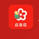 应急花