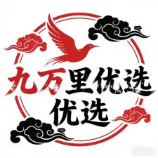 九万里优选